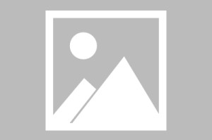 世界拳击青少年训练营医护保障与应急流程详解，拳击青少年比赛